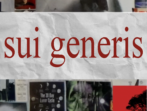 Sui Generis